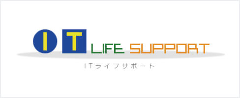 IT LIFE SUPPORT
